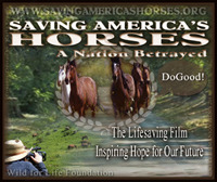 Launch this film in Canada